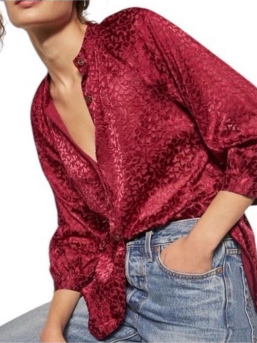 Anthropologie Susanna Velvet Semi-Sheet Button Down - Size Small
